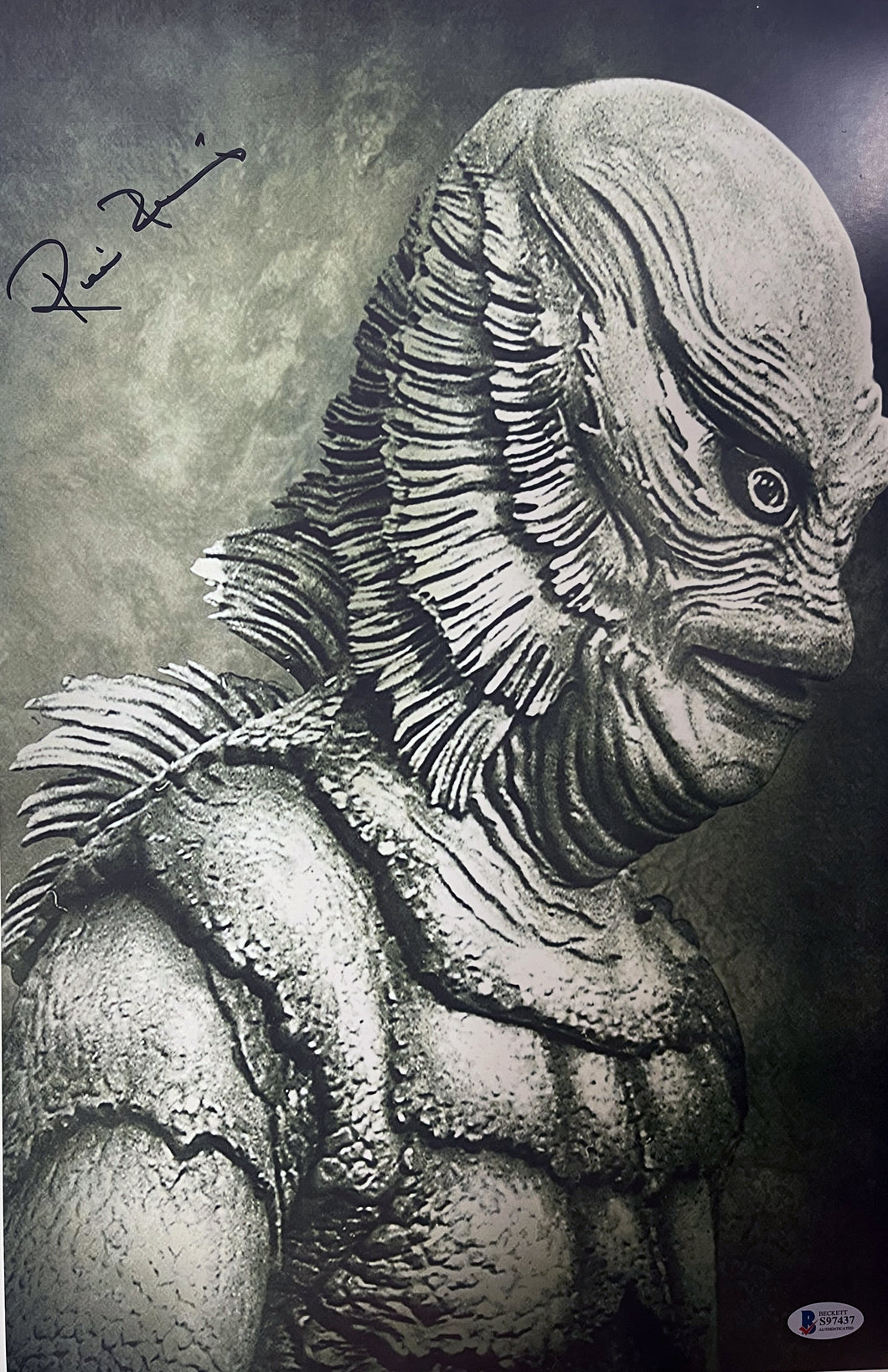 Creature From The Black Lagoon Ricou Browning signed 11x17 photo JSA